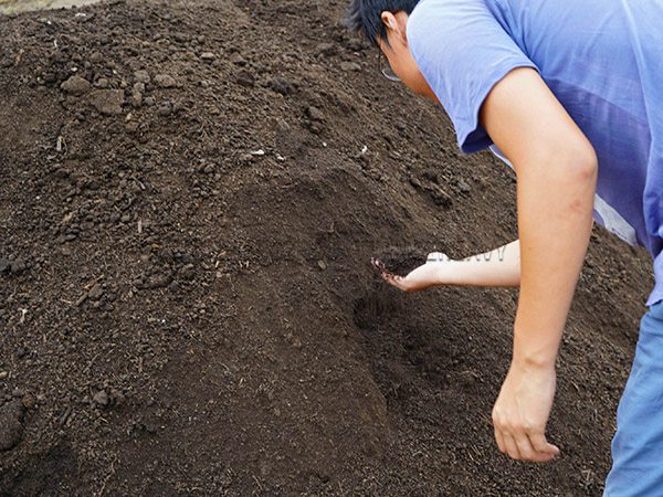 有机肥堆肥过程中的温度变化